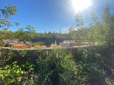 С арендатором Турлатовской свалки под Рязанью расторгли договор