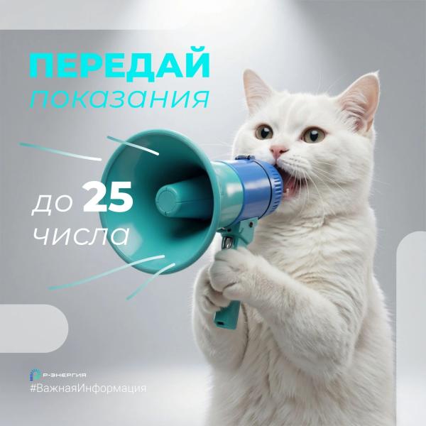 «Р-Энергия» напоминает рязанцам о необходимости передать показания счётчиков
