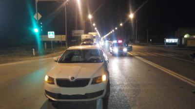 Skoda Octavia сбила пешехода на рязанском участке М5