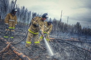 Опубликован фотоотчёт о тушении лесного пожара в Рыбновском районе
