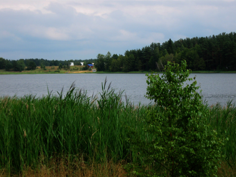 Озеро святое рязанская область клепиковский район фото