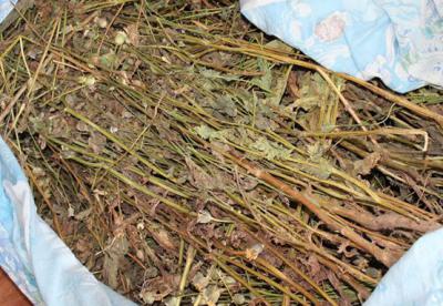 Касимовцу грозит до 10 лет колонии за хранение более килограмма маковой соломы