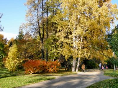 Создавать природный парк «Солотчинский» будут в два этапа