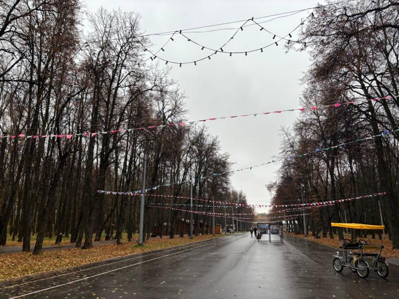 В Рязани объявлен новый тендер на благоустройство Лесопарка