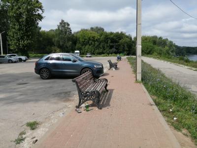 С пристани в Лесопарке Рязани исчезли урны