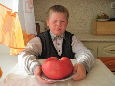 Житель Ряжского района похвастался своими помидорами