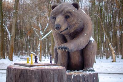 Рязанский медведь-шахматист лишился когтей