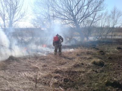 В семи районах Рязанщины введён особый противопожарный режим
