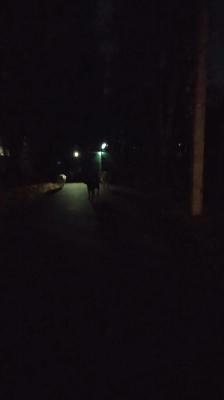 Рязанцы возмутились отключением света в Лесопарке после 20.30