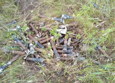 Росгвардейцы обследовали найденные в Клепиковском районе боеприпасы