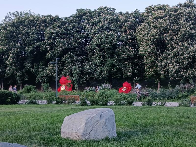 В рязанском регионе немного похолодает