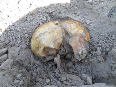 Найденный в Рязани некрополь разрыли неизвестные