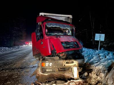 В массовой аварии под Рязанью пострадал водитель грузовика