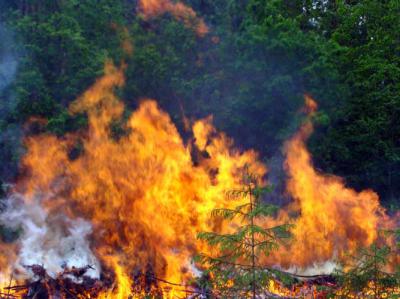 На Рязанщине определились с планами тушения лесных пожаров