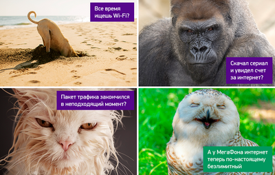 «МегаФон» делает интернет безлимитным на всей линейке «Всё включено»