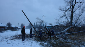 Часть районного посёлка Ермишь обесточена из-за упавшего дерева