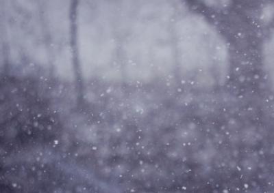 В Рязанском регионе ожидают снег и ухудшение видимости