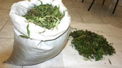 Захаровские стражи порядка конфисковали крупную партию марихуаны