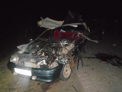 Прицеп трактора снёс крышу ВАЗ-2114 и смертельно травмировал водителя близ Александро-Невского