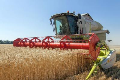 Рязанские хлеборобы намолотили более полумилиона тонн зерна