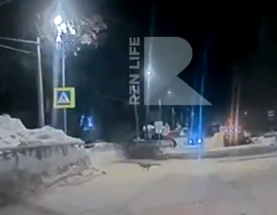 На улице Костычева в Рязани сняли лису