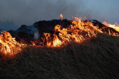 Пожароопасный сезон на Рязанщине вновь начнётся 1 апреля