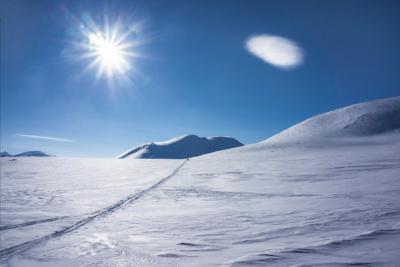Рязанцев приглашают на фотовыставку «За полярным кругом»