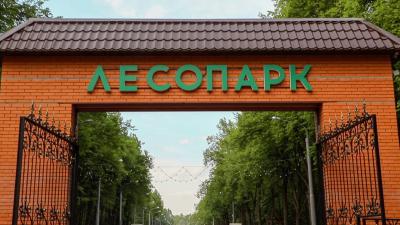 Центр уличного спорта «Под мостом» в Рязани будет закрыт с 17 по 30 марта