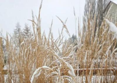 В Рязанской области потеплеет до минус 2 градусов