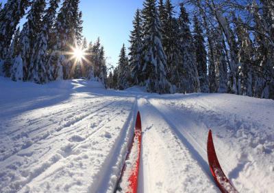 В Рязани зимой будет работать шесть лыжных трасс