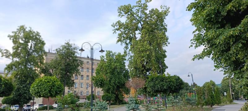 Перечень инвазивных растений разрабатывают в Рязанской области