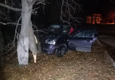 В Пронске пьяный водитель врезался в дерево