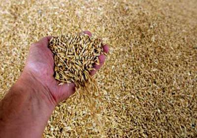 Аграрии Рязанщины завершили уборку зерновых культур