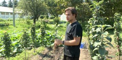 Рязанец вырастил инновационный колоновидный сорт яблонь