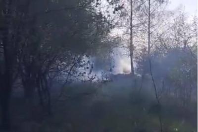 В Рязани неизвестные устроили пожар в парке Белякова