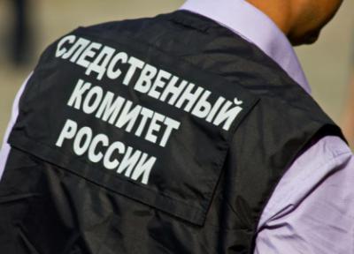 Уроженца Владимирской области подозревают в изнасиловании 17-летней рязанки