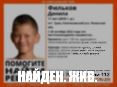 Пропавшего в Клепиковском районе мальчика нашли