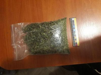 Рязанские полицейские изъяли марихуану и гашиш