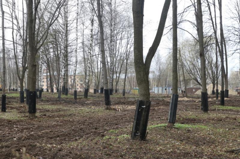 Депутаты Рязгордумы оценили ход благоустройства ЦПКиО