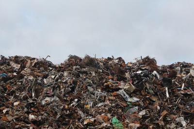 Договор с арендатором мусорного полигона в Зеленино под Рязанью аннулировали
