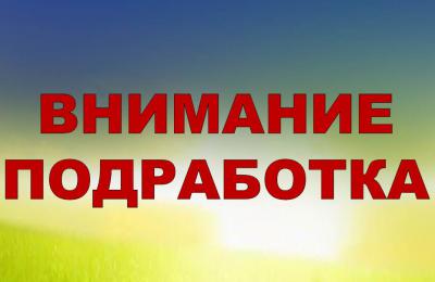 В Рязанском регионе стало больше вакансий для летней подработки