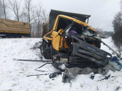 В Путятинском районе столкнулись два грузовика, водителей госпитализировали