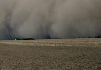 В Александро-Невском районе пыльные бури уничтожили часть посевов