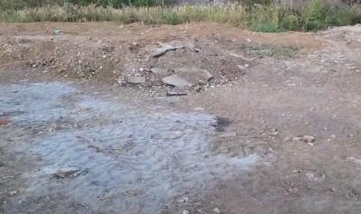 Утраченные сосны в Восточном промузле Рязани восстановят весной