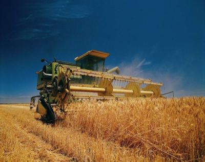 В Александро-Невском и Касимовском районах закончили уборку зерновых