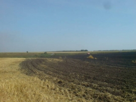 В Захаровском районе сгорело поле овса