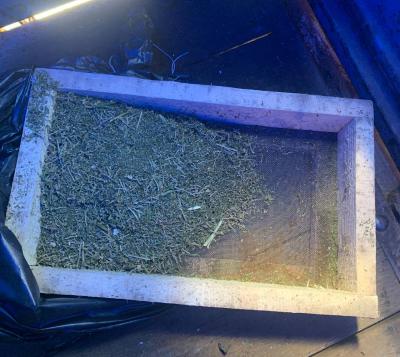 У жителя Ряжска нашли 1,5 килограмма марихуаны и конопли