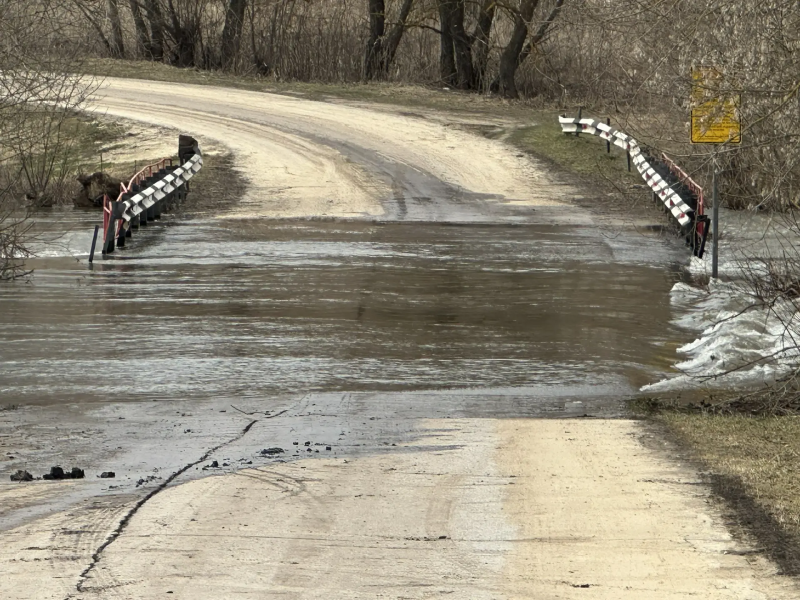 В Михайловском округе скрылся под водой мост у села Рачатники