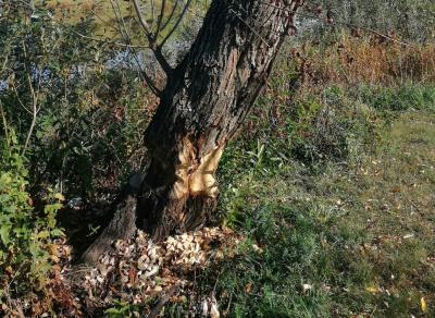 Фото: Татьяна Картышкова