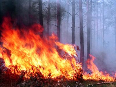 ГУ МЧС по Рязанской области предупреждает о высокой пожарной опасности в регионе